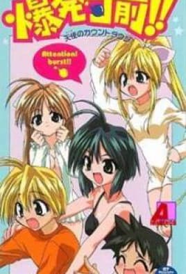 Countdown to Delight